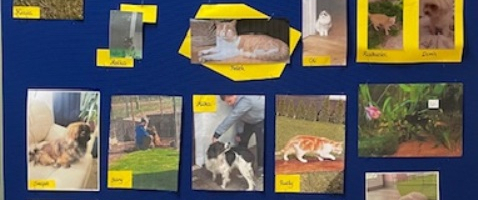 Dzień Praw Zwierząt